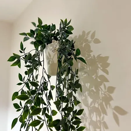 La Feuilleraie N1-standingappart-wifi-proche Appartamento Fontenay-le-Comte