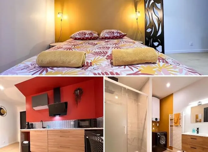 شقة La Feuilleraie N1-standingappart-wifi-proche *