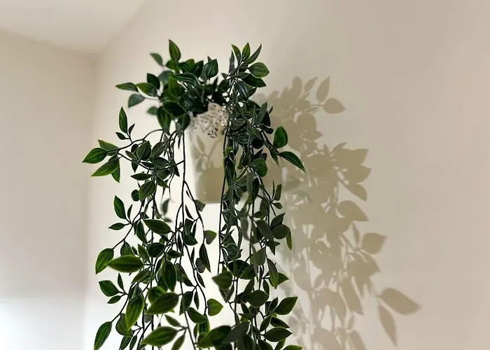 La Feuilleraie N1-standingappart-wifi-proche شقة فونتيناي لو كومت