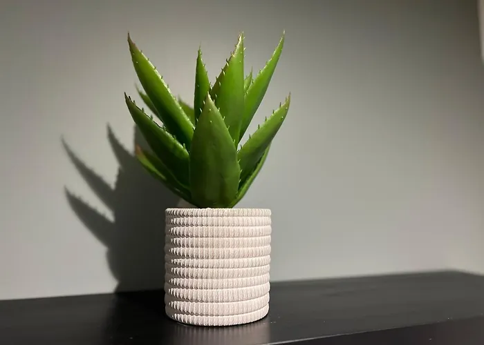 La Feuilleraie N1-standingappart-wifi-proche * فونتيناي لو كومت